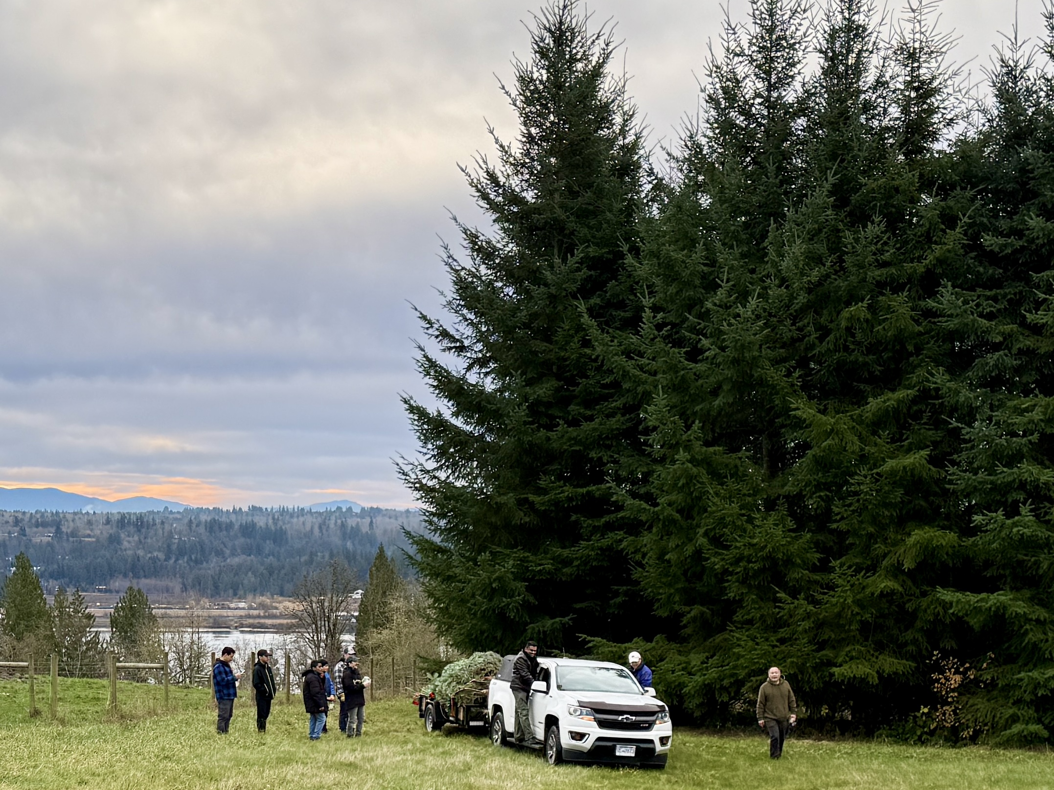 Truck and trailer packed up at the edge of the forest