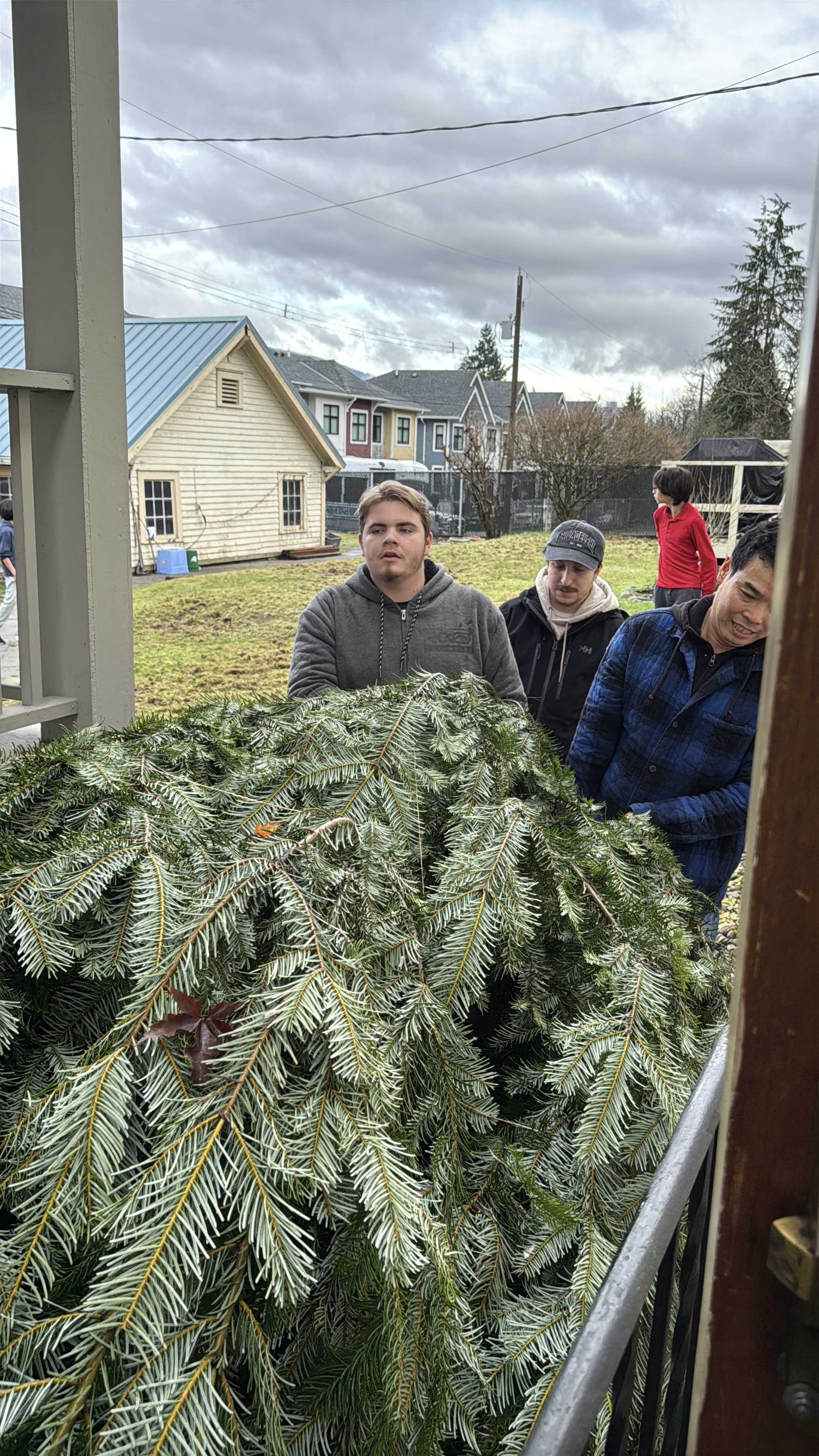 Checking the tree bases before moving inside.