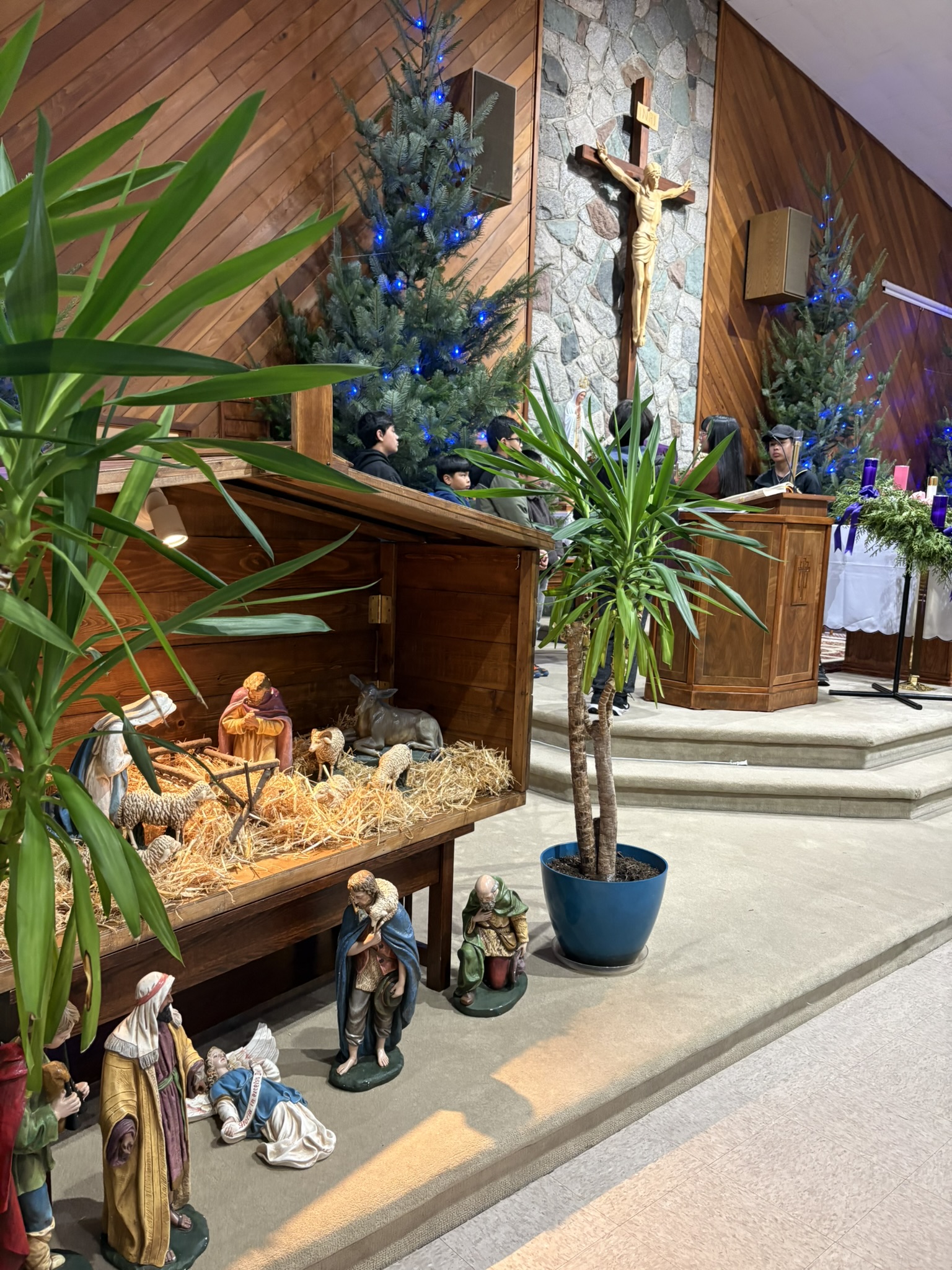 Raising of the Christmas Trees