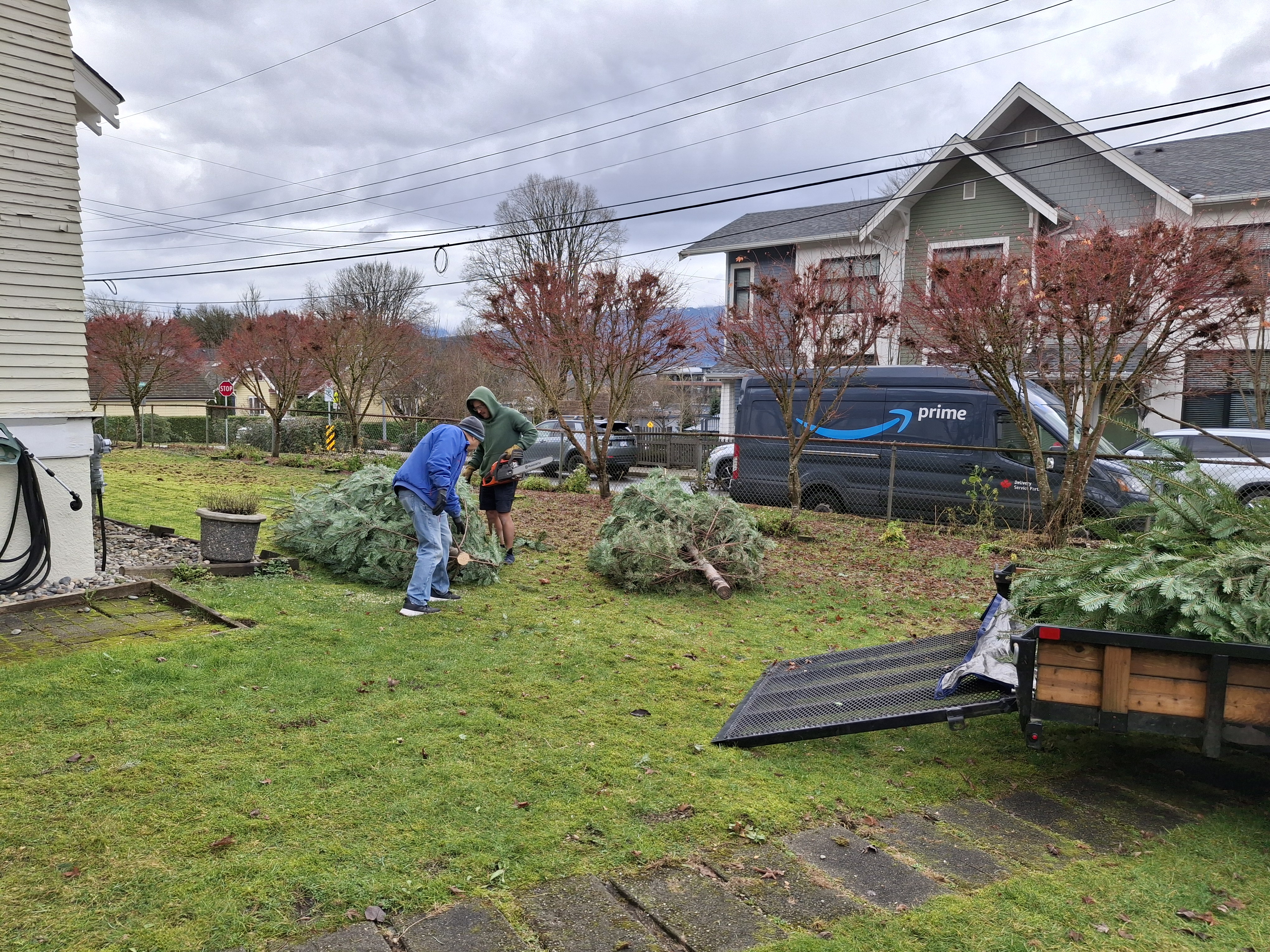 Brother Knights carrying a Christmas tree